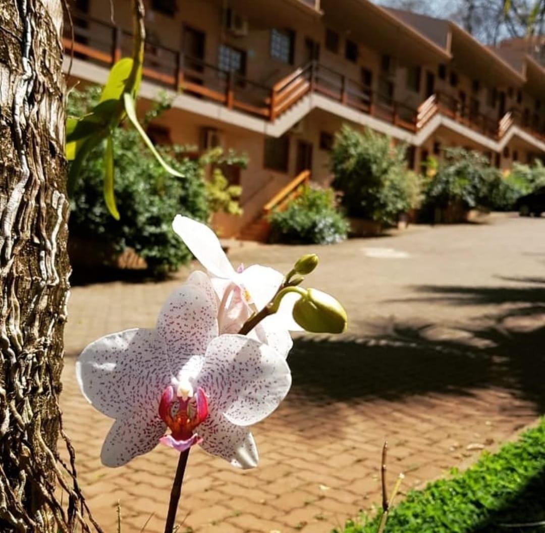 Hotel Pousada Santa Rita Ribeirao Preto Exterior photo